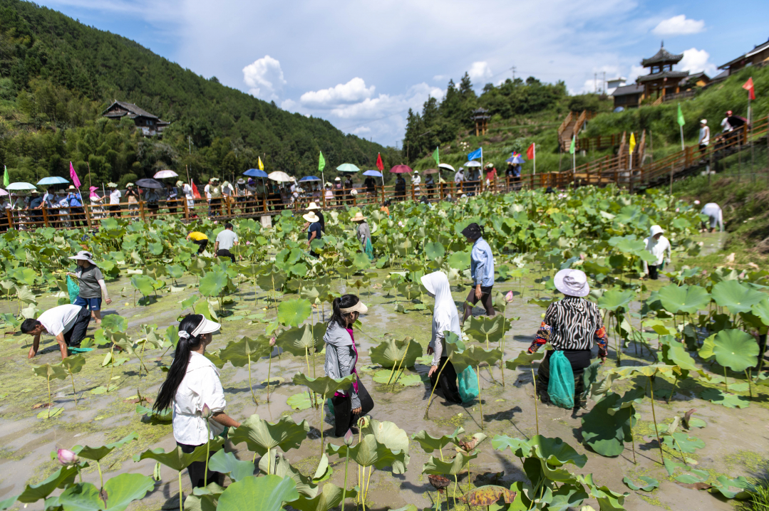 2024年8月27日，在貴州省從江縣洛香鎮(zhèn)榮新村四聯(lián)侗寨，游客和村民在參與摸魚活動。_DSC8570.jpg